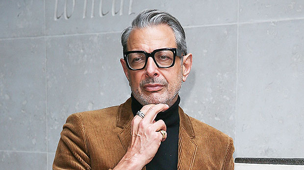 Jeff Goldblum 67 Is The Ultimate Thirst Trap After Recreating His