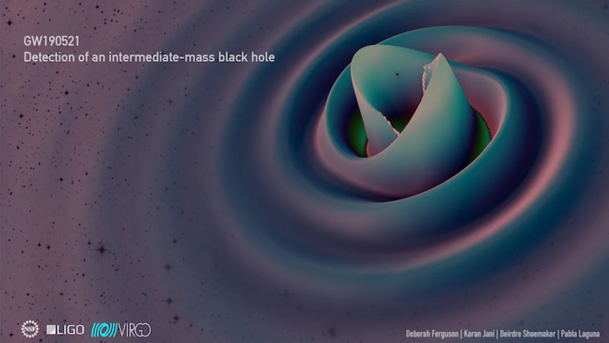 Newly-Detected Gravitational Wave Events to Help Better Understand Black Holes