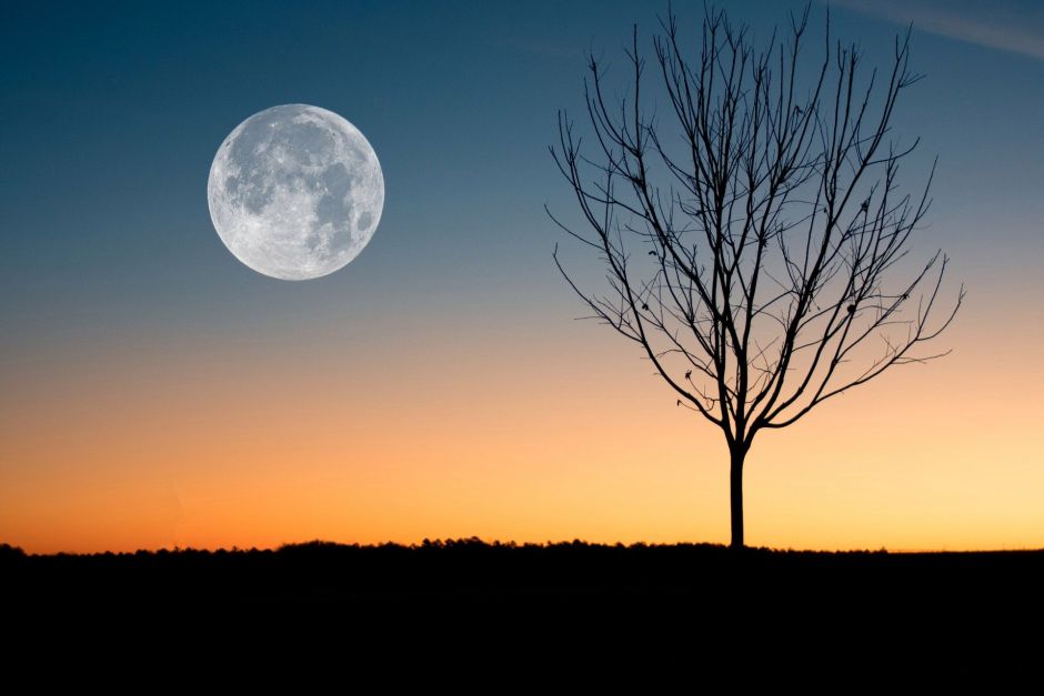 October: The rare month with two full moons of the year 2020 | The NY Journal
