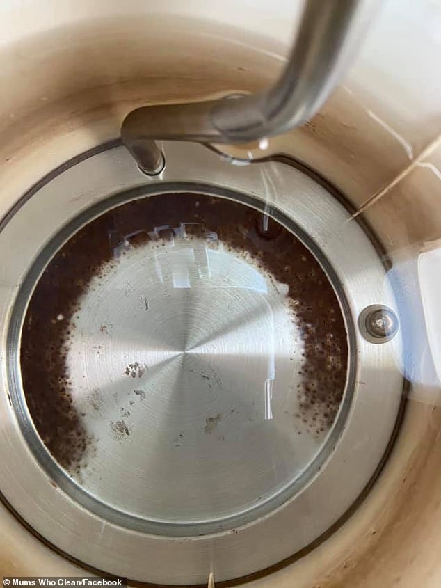 The shocking photo that proves why you should be looking inside your kettle MUCH more often