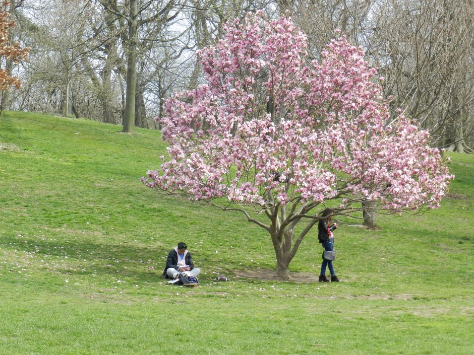They criticize “laziness” and lack of leadership: Mayor of New York goes to the park during working hours | The NY Journal