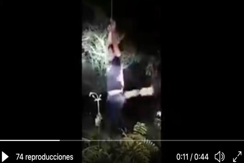 VIDEO: Hit men grab a man by a piñata, hang him from a tree and give him brutal slaps | The opinion