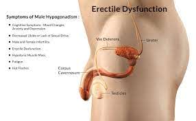 Erectile dysfunction treatment: How can your partner help?