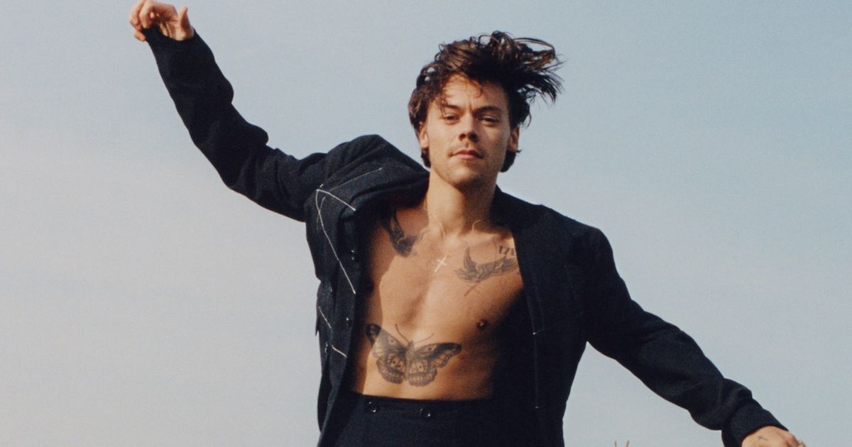 Harry Styles flaunts tattooed chest in chic mesh coat as he makes Vogue history