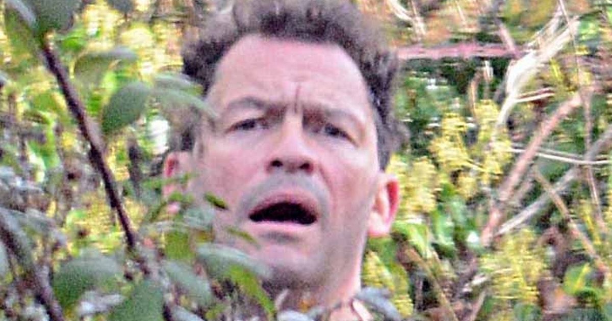 Dominic West hides in bushes on jog amid Lily James kissing scandal