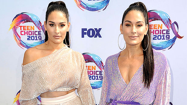 Happy 37th Birthday, Nikki & Brie Bella: See The Twins’ Hottest Red Carpet Moments Over The Years