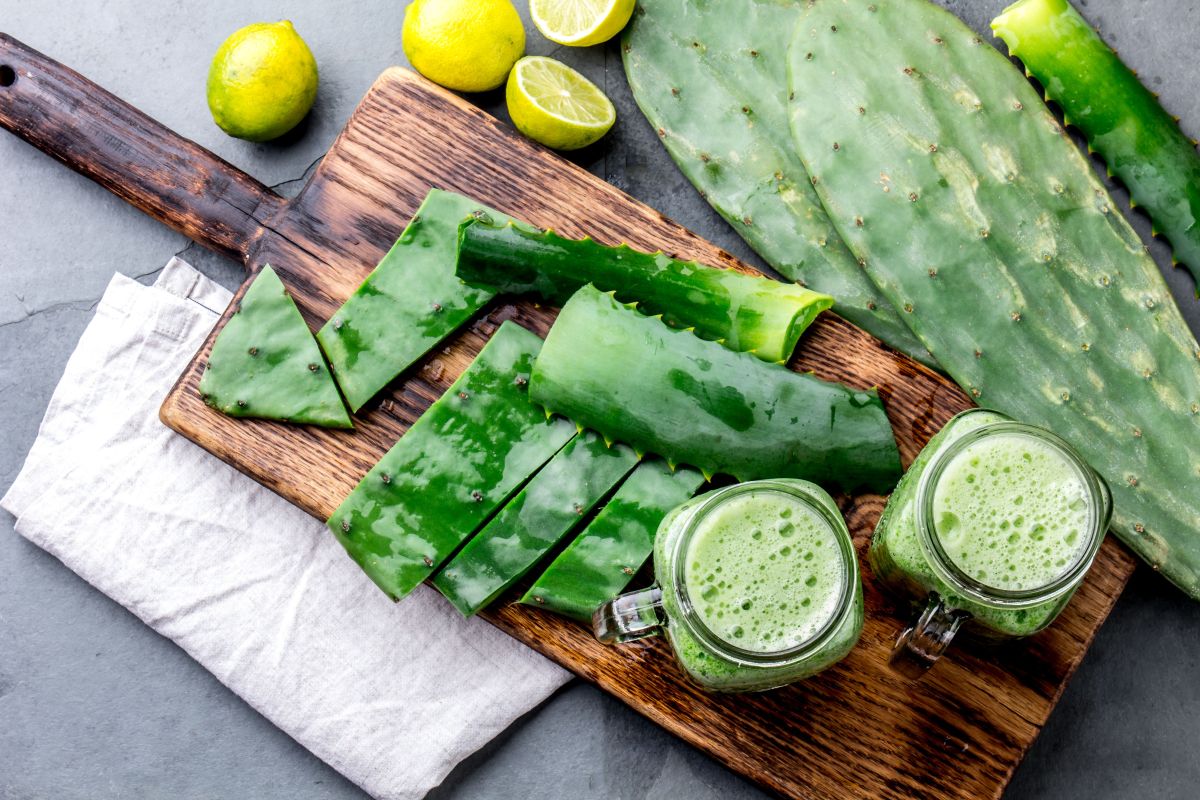 3 Ways To Use Nopal To Lose Weight | The State