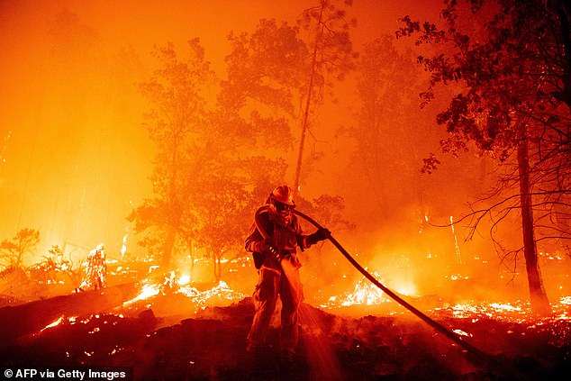 A firefighter douses flames as they push towards homes during an out of control wildfire in California earlier this year. Many respondents fear their future children will live in a world rife with fire, flooding and other forms of wild weather