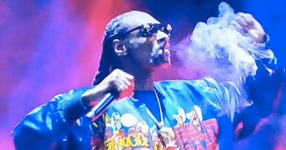 Snoop Dogg likens Tyson and Jones Jr fight to ‘uncles fighting at a BBQ’
