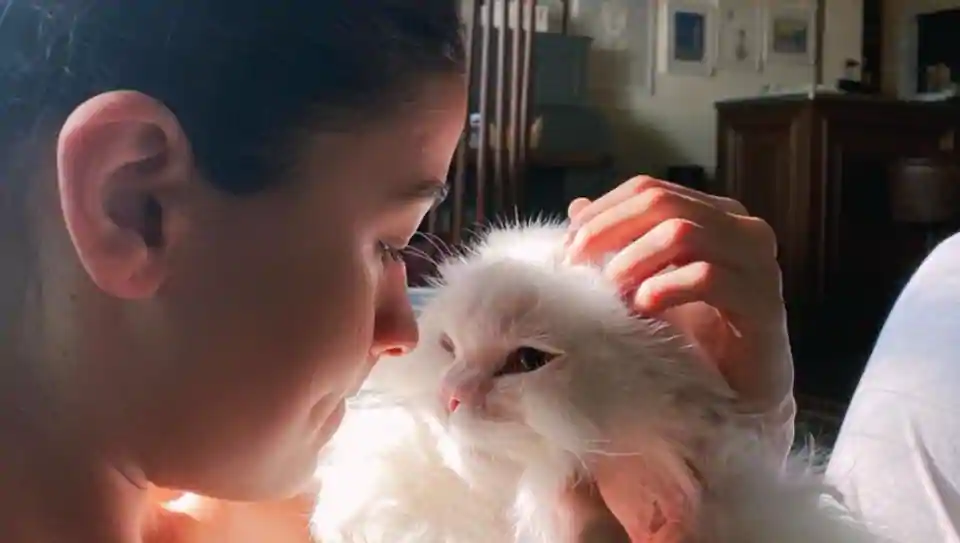 Alia Bhatt brings your cute and cuddly dose of the day, shares pic with her cat and ‘muse’ Edward