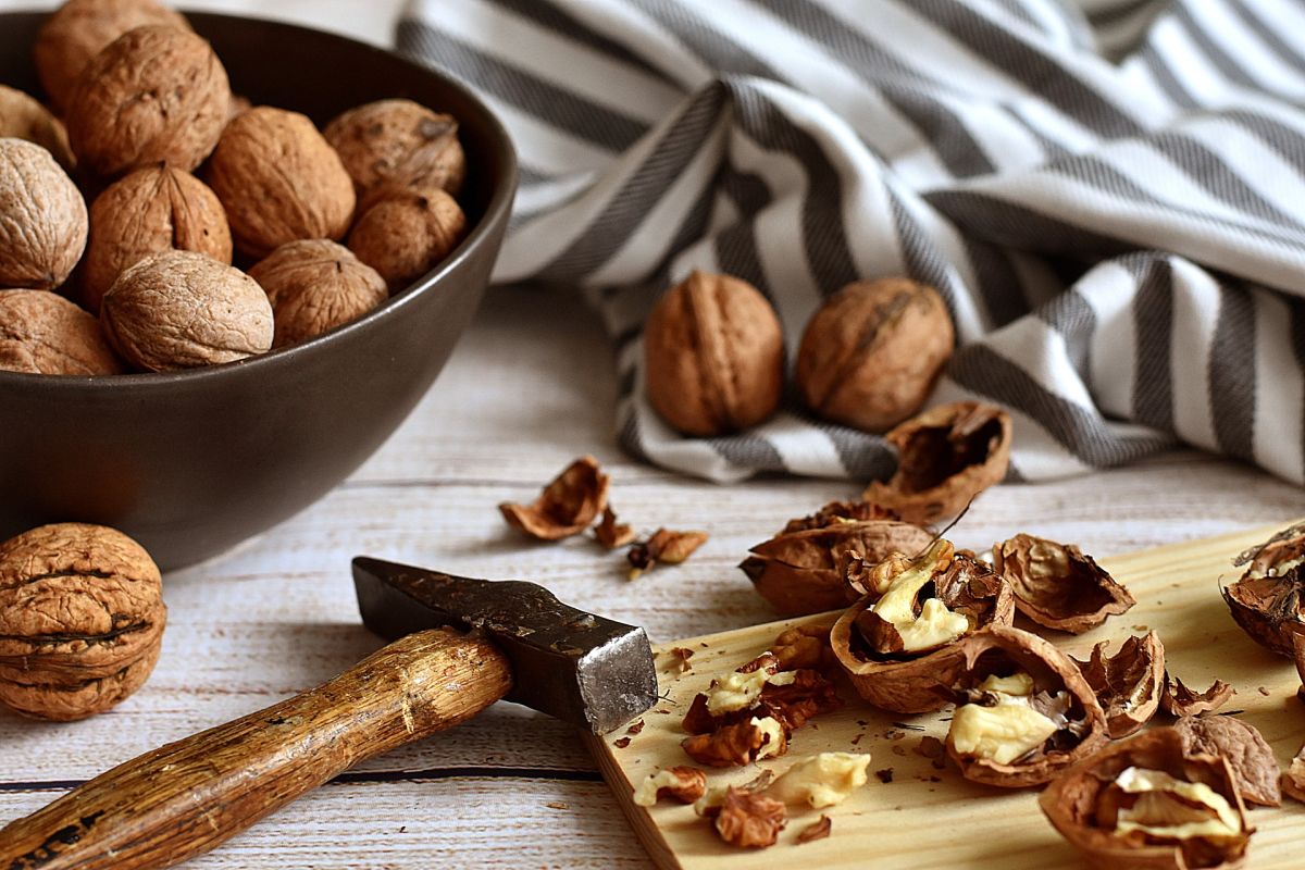 Lose Weight Without Diet: Discover the Immense Nutritional and Slimming Power of Walnuts | The State