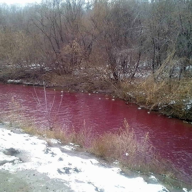 Russian city’s rivers run RED from mystery pollution as ducks refuse to swim in the ‘toxic’ water 