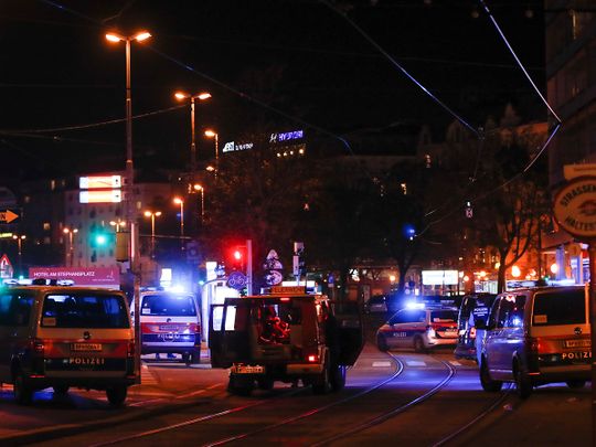 UAE strongly condemns terrorist attack in Vienna