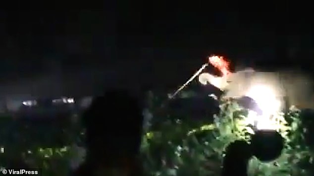 Villagers attack elephants with flaming torches in India