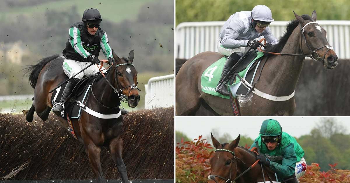 Nicky Henderson stars Altior, Santini and Top Notch ready to shine