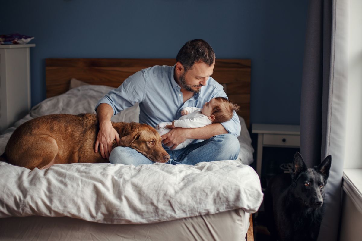 How to train your pets when a new baby comes home | The State