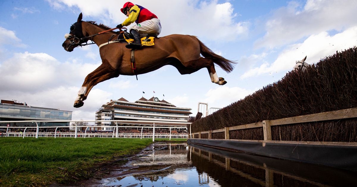 Tips for ITV Racing as Newsboy heads to Aintree for Nap selection