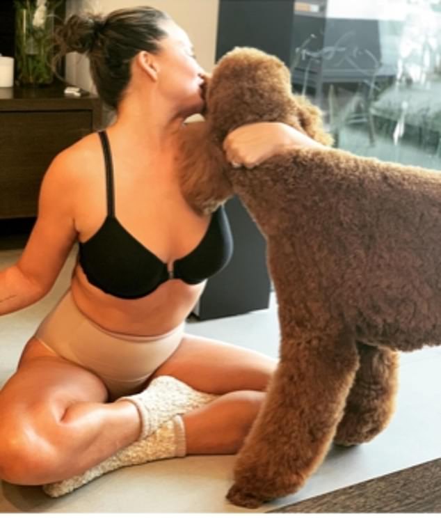Chrissy Teigen and her husband John adopted a dog from the Wagmor Pet Hotel & Spa in January and named him Petey after the doomed bird in 1994's Dumb And Dumber.