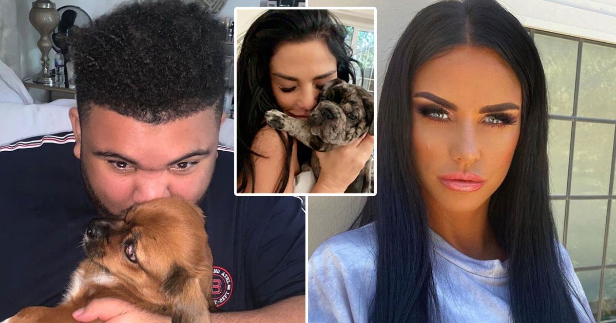 Katie Price ‘devastated’ as petition calls for her to be banned from having pets