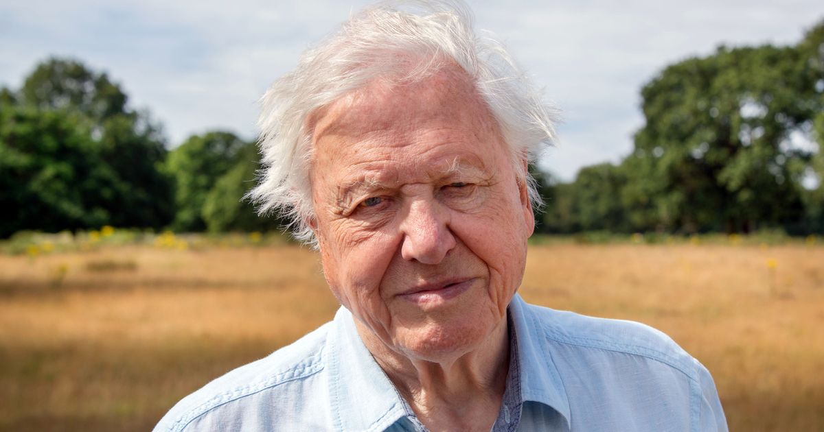 Sir David Attenborough ‘punched the air’ after Donald Trump lost US election