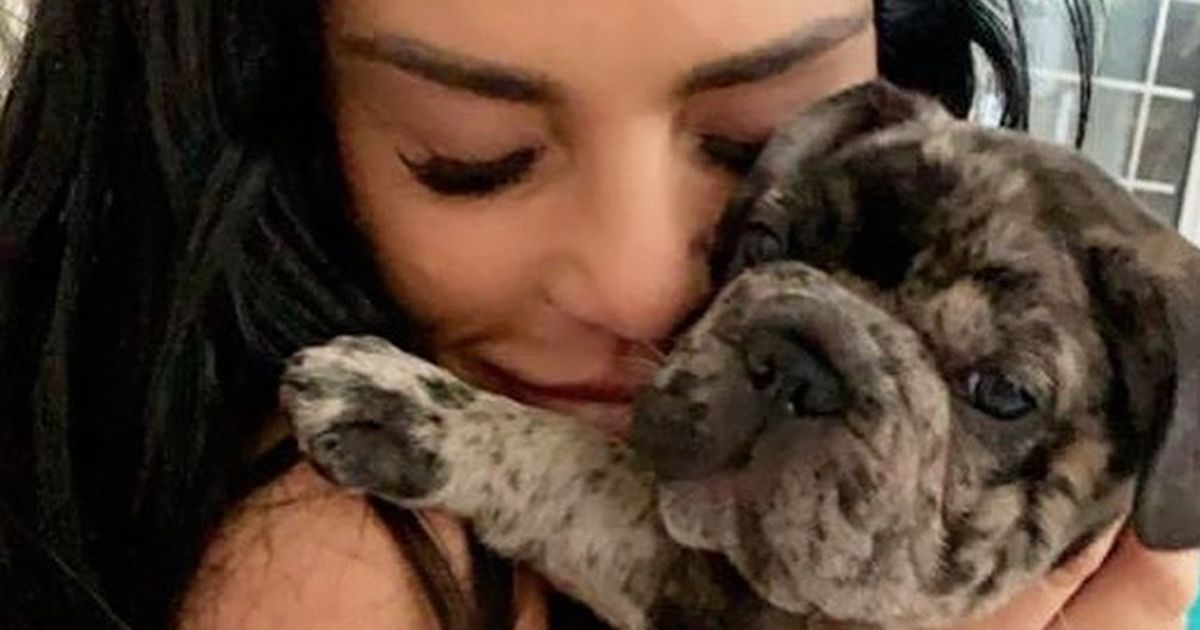 Katie Price devastated over petition to stop her owning pets after animals die