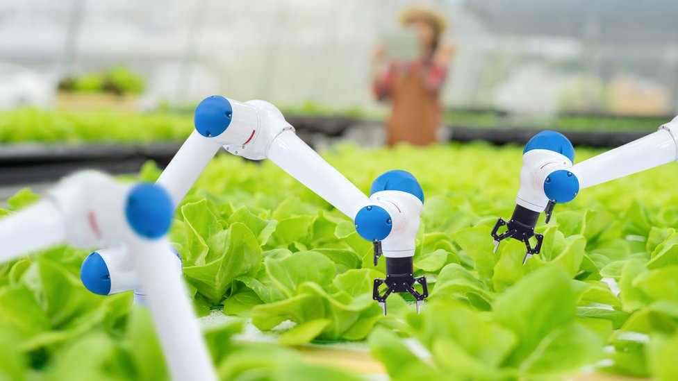 Robots in agriculture