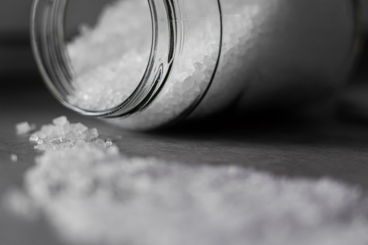 6 myths that exist about salt (and how much you should consume per day) | The State