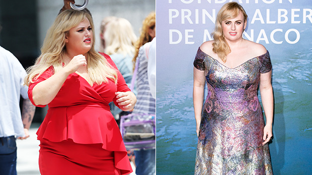 11 Of The Biggest Celebrity Weight Loss Transformations Of 2020: Rebel Wilson, Adele & More