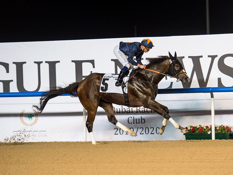 Race 6  at Horse racing action at Meydan for Dubai World Cup Carnival on February 13