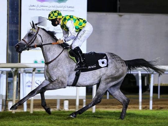 Abu Dhabi Classic success for Heba Al Wathba and Hameem