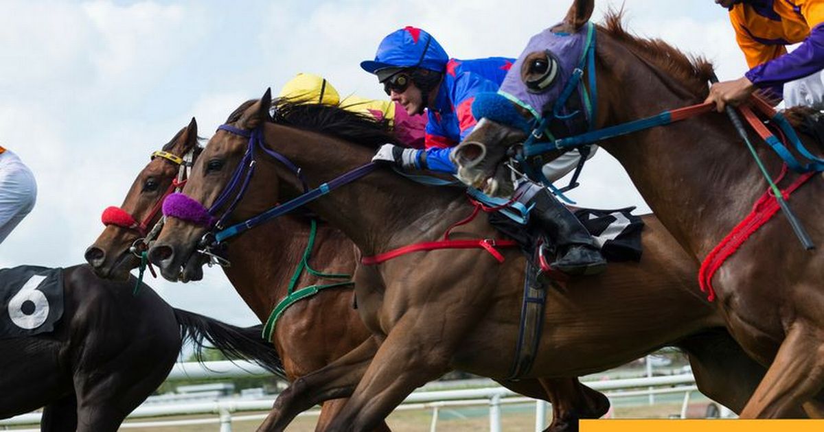 Ascot racing: Claim your free £5 Betfair bet for Saturday’s biggest races