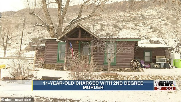 Child, 11, is charged with murder after a woman, 62, was shot dead in a Colorado home 