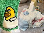 Embarrassed home bakers reveal their hilarious cake fails