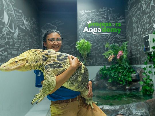 Here’s your chance to meet the ‘Professor’ at the aquarium in Abu Dhabi