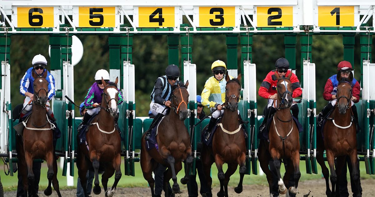 Horse racing tips today: Newsboy’s best bet goes for Lingfield win