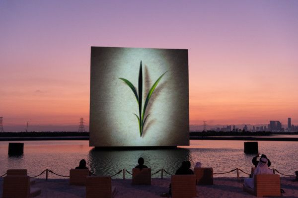 In Pictures: ‘The Seed’, the moving sculpture showcasing UAE’s history in Abu Dhabi