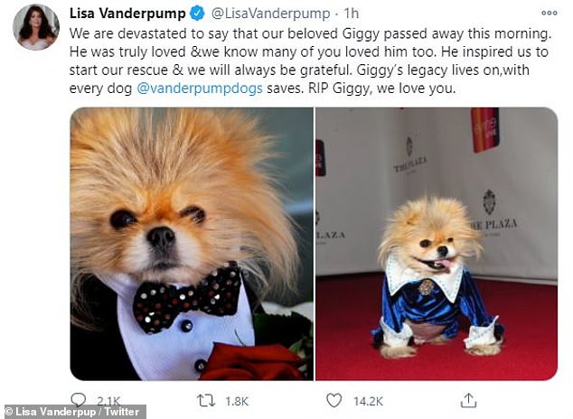 Lisa Vanderpump mourns the loss of her beloved dog Giggy… as Andy Cohen offers condolences