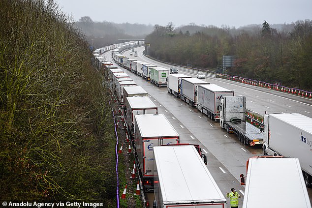 Lorry drivers stranded in Kent slapped with parking tickets