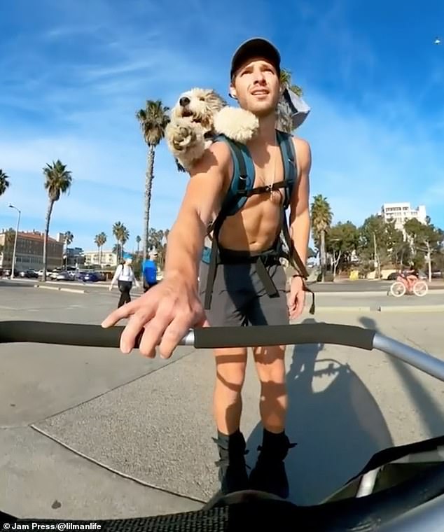 Man captures hearts with videos of him rollerblading with his 75LB dog strapped to his back