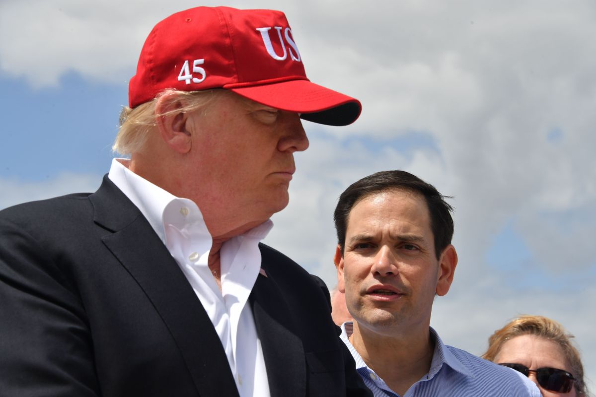Marco Rubio believes that Trump will win the presidency again in 2024 | The State