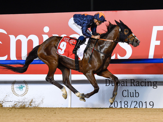 Meydan kicks off bumper weekend of horse racing across UAE