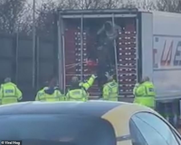 Moment police find 13 suspected migrants in the back of fruit lorry