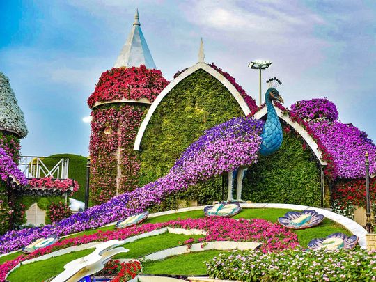 Photos: Gulf News readers share pictures of beautiful places to visit in Abu Dhabi, Dubai, Sharjah, Fujairah, and Ras Al Khaimah
