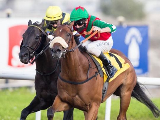 Sprinters to tackle Jebel Ali hill on Friday