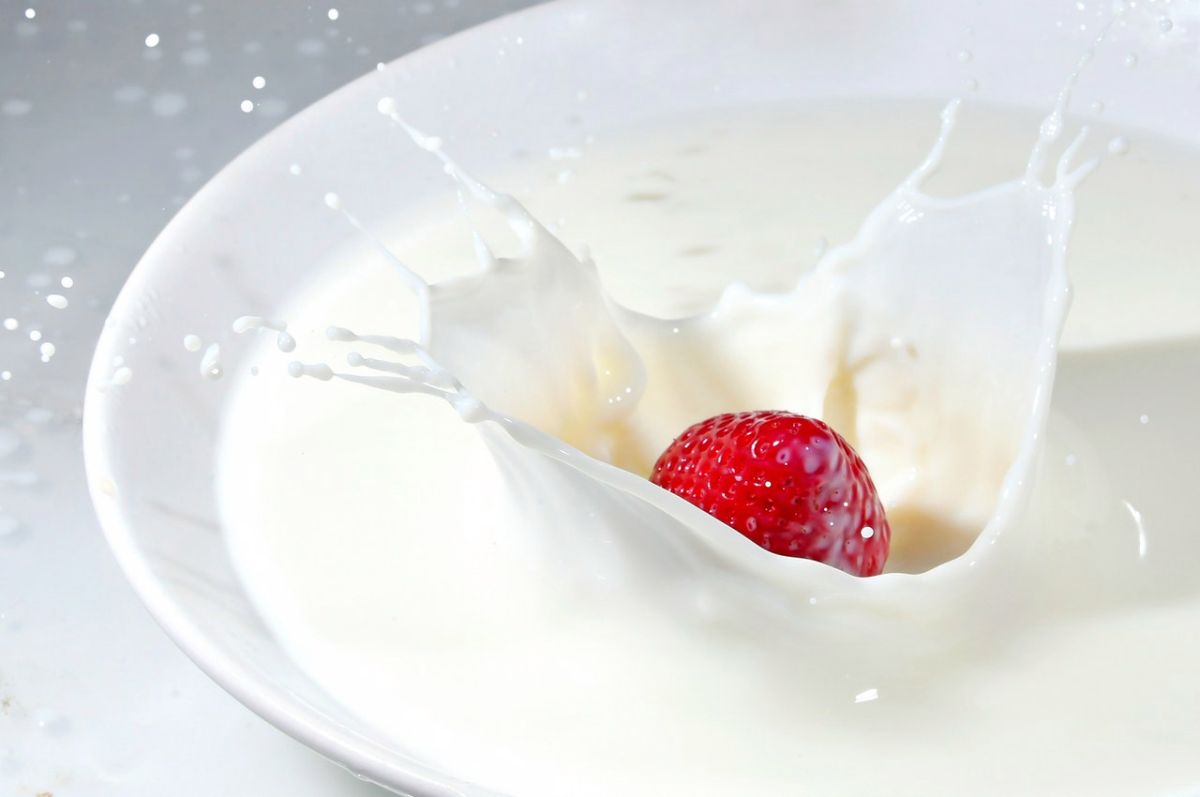 What milk is better? Whole, low-fat, or skim | The State