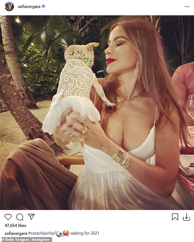 Modern Family star Sofia Vergara shared a snap of herself holding her cute Chihuahua. Both wore white and the snap appeared to be taken during an outdoor New Year's Eve dinner