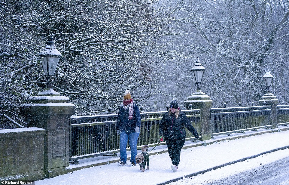 Parts of the North East woke up to snow this morning as temperatures plummeted bringing winter wonderland scenes across the region. This picture shows dog walkers near South Park, Darlington