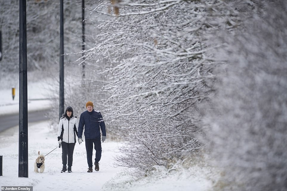 A couple walk their dog in Teeside after snowfall left a layer of the white stuff across tree branches and roadsides