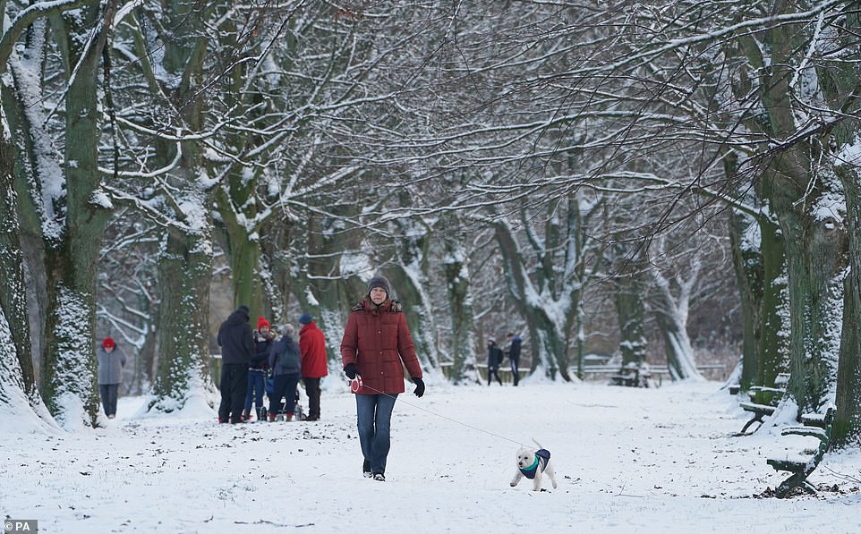 A person walks their dog through a snow-covered wood in Hexham, Northumberland, after heavy snowfall last night