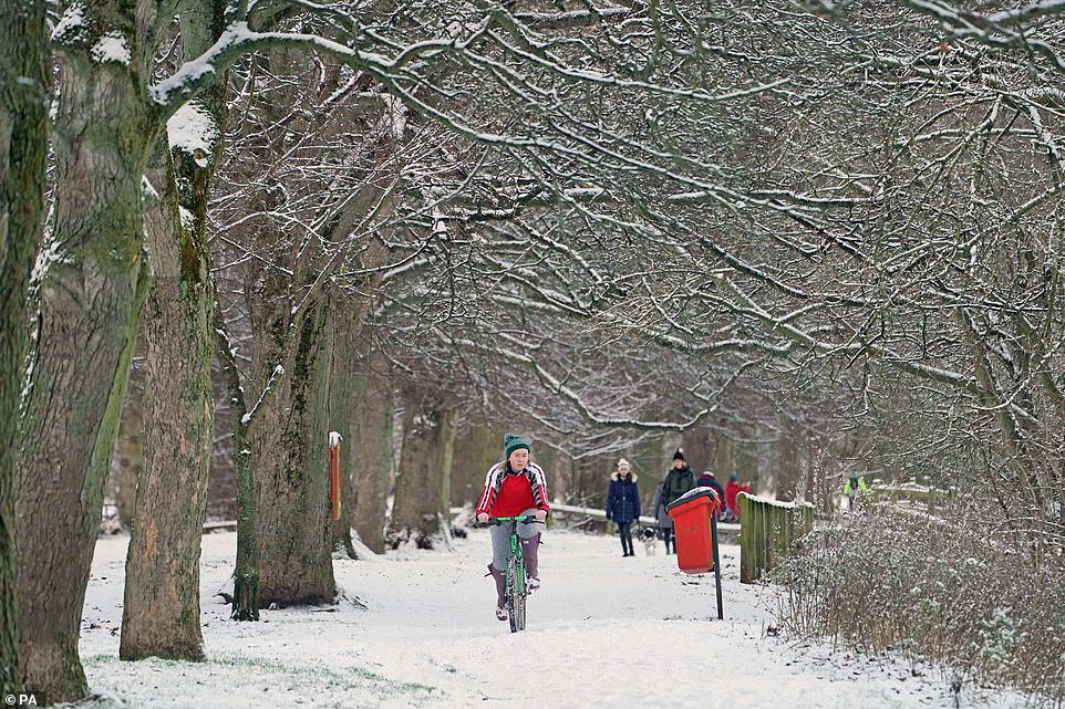 A cyclist keeps their balance on the slippery pavement as they travel through the woods in Hexham, Northumberland
